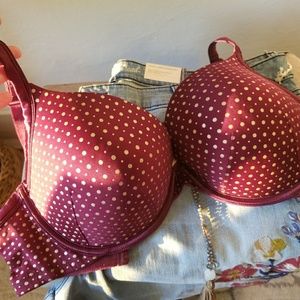 Lane Bryant cacique maroon and Gold bra